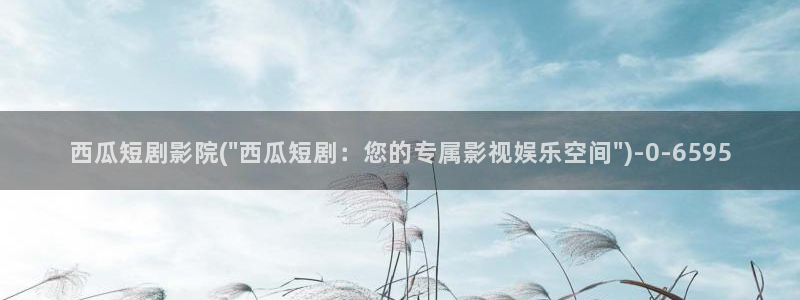 西瓜影院山河令